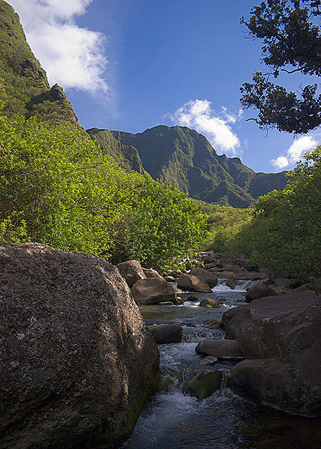 The Heart of Iao